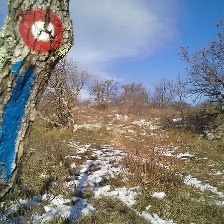 Istrian Experience Дом отдыха Socerga