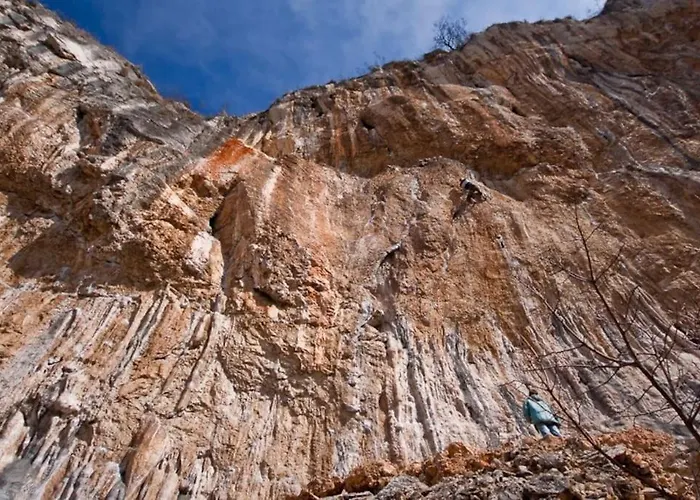 Istrian Experience * Socerga