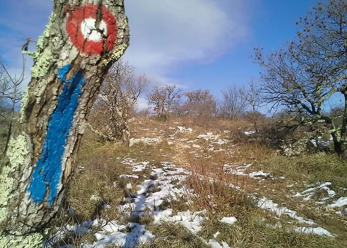 Istrian Experience Ferienhaus Socerga